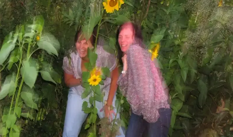 Cómo arreglar imágenes borrosas y tomar fotos bien enfocadas.