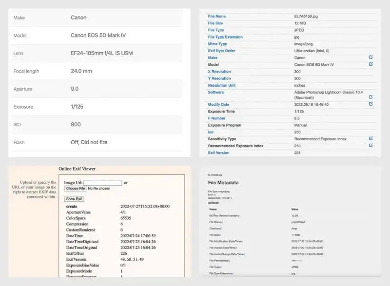 ¿Qué es la información EXIF en las fotos digitales?