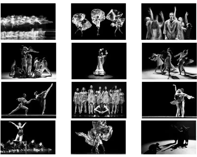 Fotografía de arte: Una guía completa.