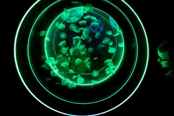 Cómo tomar mejores fotos de tus hijos