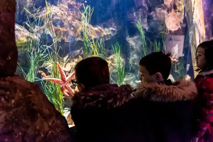 Cómo tomar mejores fotos de tus hijos