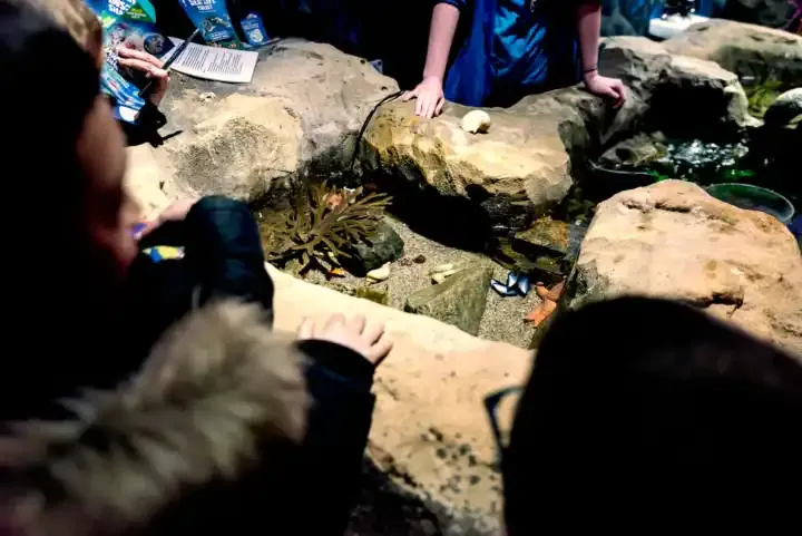 Cómo tomar mejores fotos de tus hijos