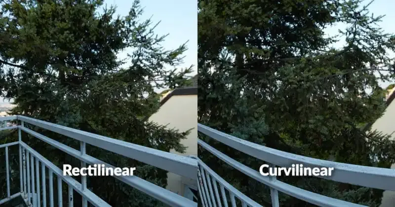 Tipos de objetivos: Una guía completa