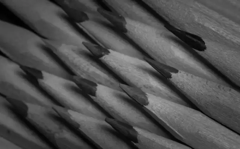 Filtros de color para fotografía en blanco y negro: Una guía completa