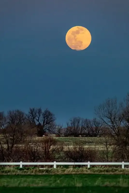 Limpieza de imágenes: Cómo eliminar fácilmente objetos de tus fotos.