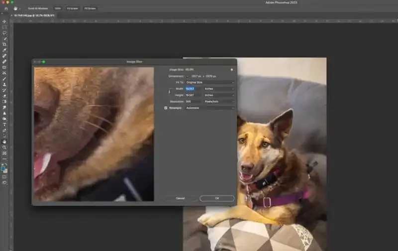 Cómo solucionar los errores de disco de Página dañados en Photoshop