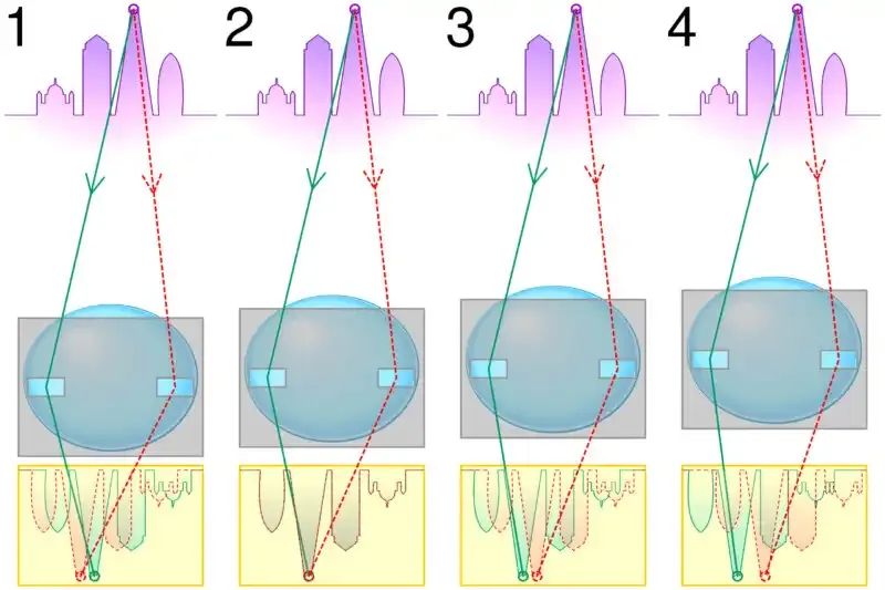 Cómo funciona el enfoque automático en fotografía
