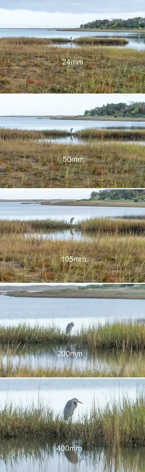 Tipos de objetivos: Una guía completa