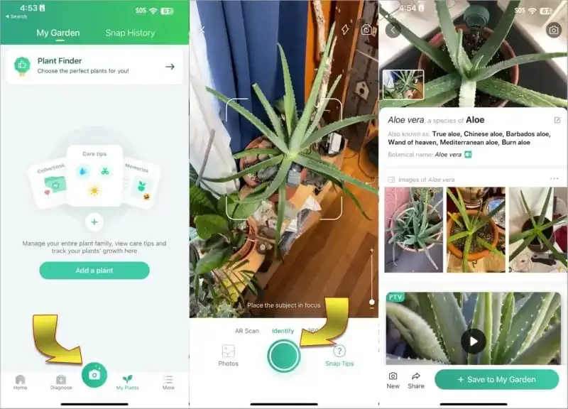 PictureThis: La mejor aplicación de cámara para identificar plantas.