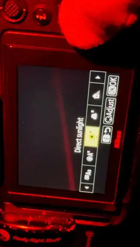 Astrofotografía: La guía definitiva.