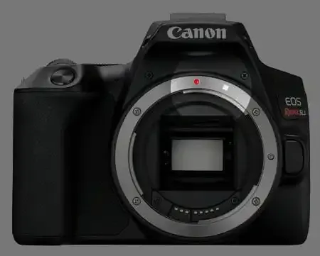 Canon Rebel: Una guía de la popular línea de cámaras para principiantes.