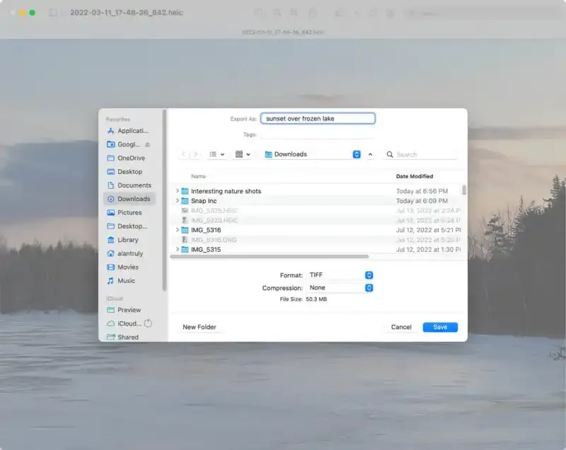 ¿Qué es un archivo TIFF? Todo lo que necesitas saber