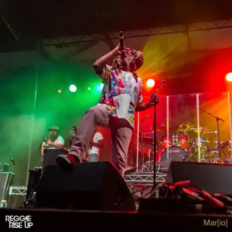 Etiqueta de fotografía de conciertos: Consejos para fotógrafos de música en el foso fotográfico