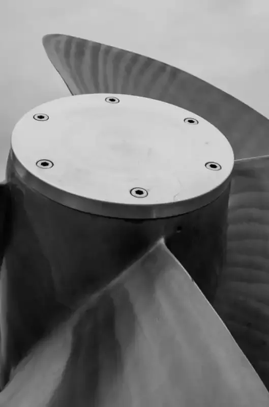 Fotografía en Blanco y Negro: La Guía del Principiante.