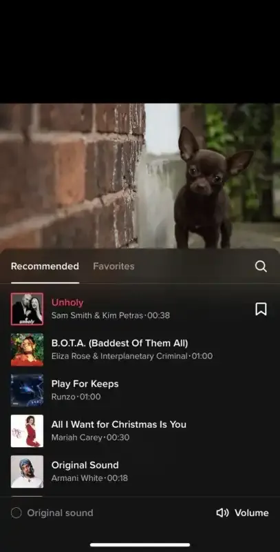Cómo compartir fotos en TikTok