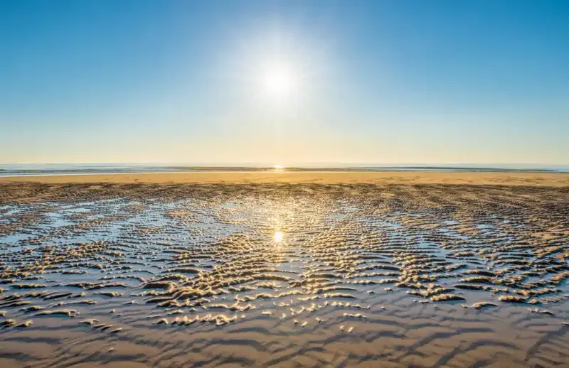 Halo de luz en la fotografía: Una guía completa.