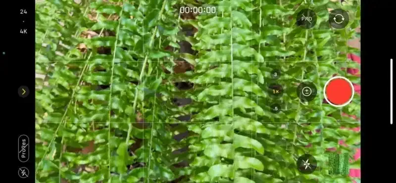 Cómo configurar el temporizador en la cámara de tu iPhone