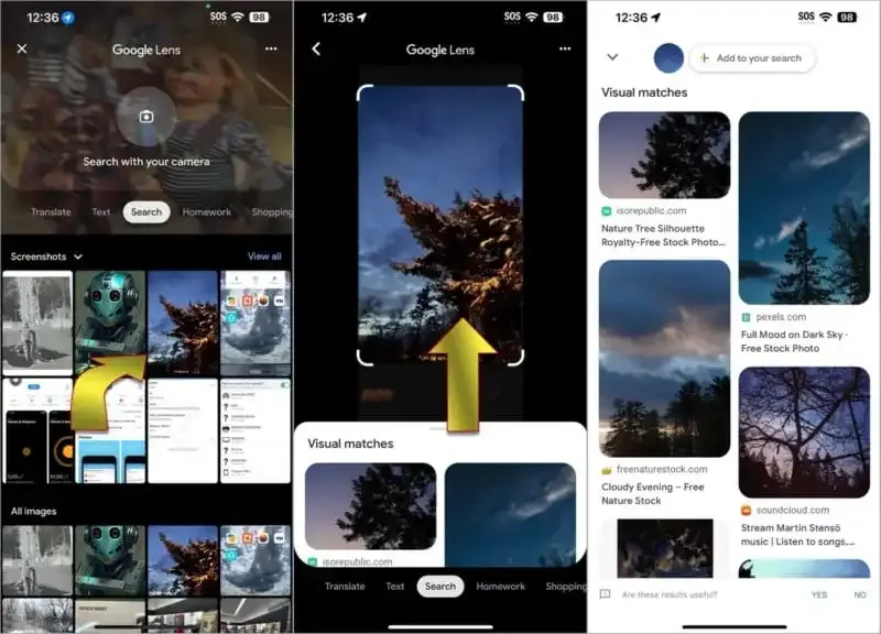 Cómo realizar una búsqueda inversa de imágenes en iPhone.