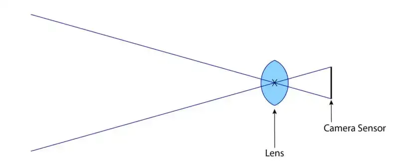 Cómo utilizar los teleconvertidores para la fotografía macro.