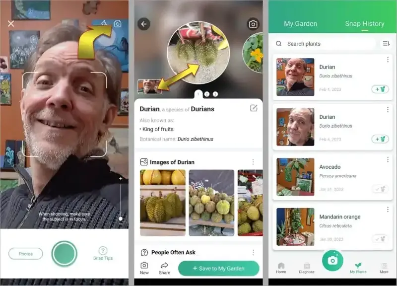 PictureThis: La mejor aplicación de cámara para identificar plantas.
