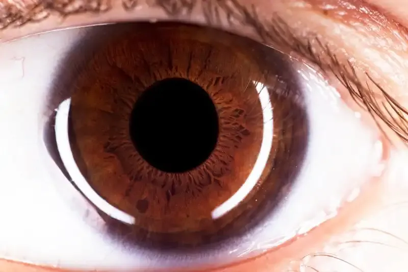 Cómo fotografiar tu propio ojo