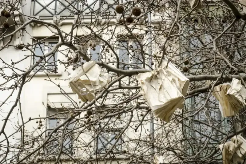 Explicación de la Profundidad de Campo