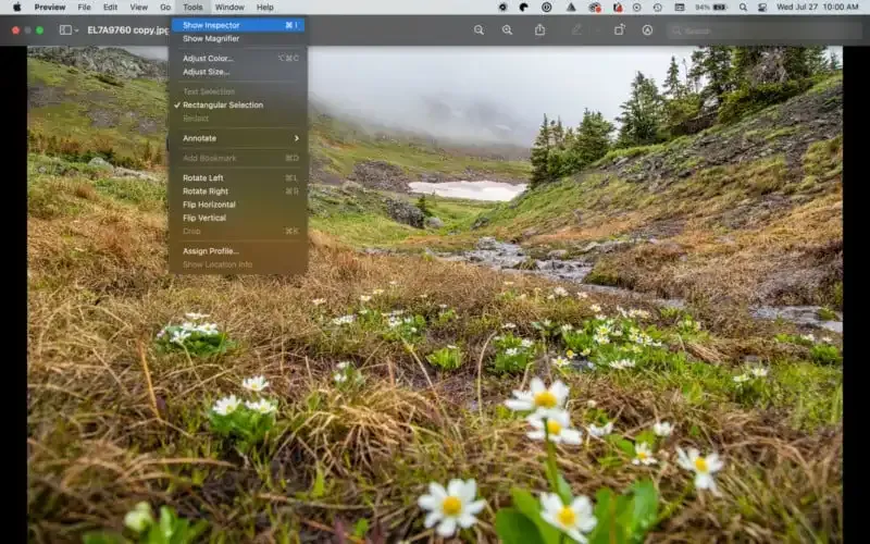 ¿Qué es la información EXIF en las fotos digitales?
