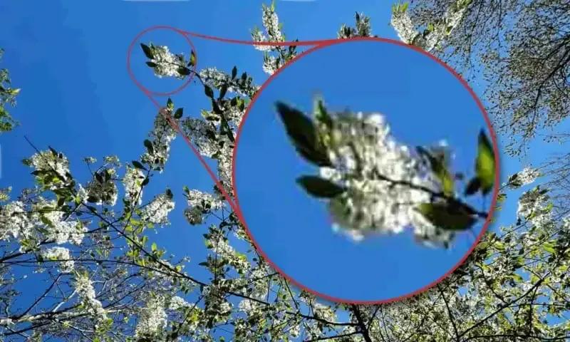 ¿Qué es un JPEG? Todo lo que necesitas saber.