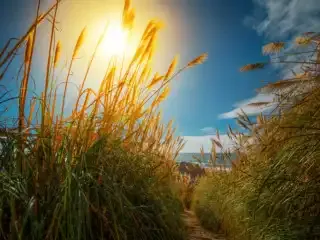 El triángulo de exposición: Guía para principiantes