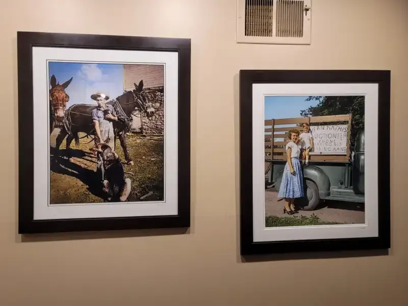 Cómo ayudar a que tus fotos sigan existiendo después de que mueras