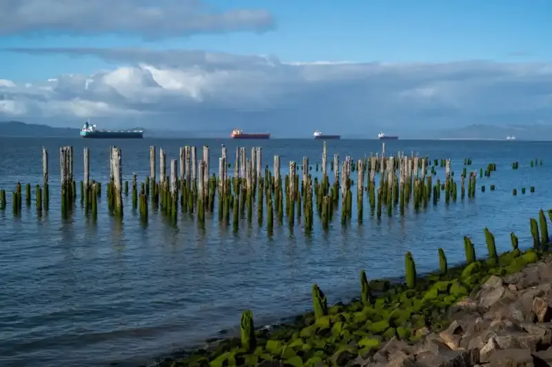 Fotografía en Blanco y Negro: La Guía del Principiante.