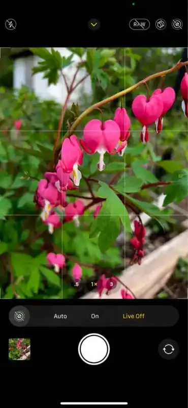 Cómo convertir un video en una foto en movimiento