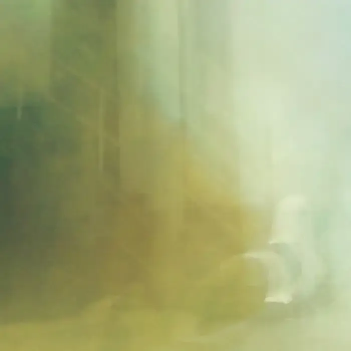 Movimiento intencional de la cámara: Una introducción a la fotografía ICM