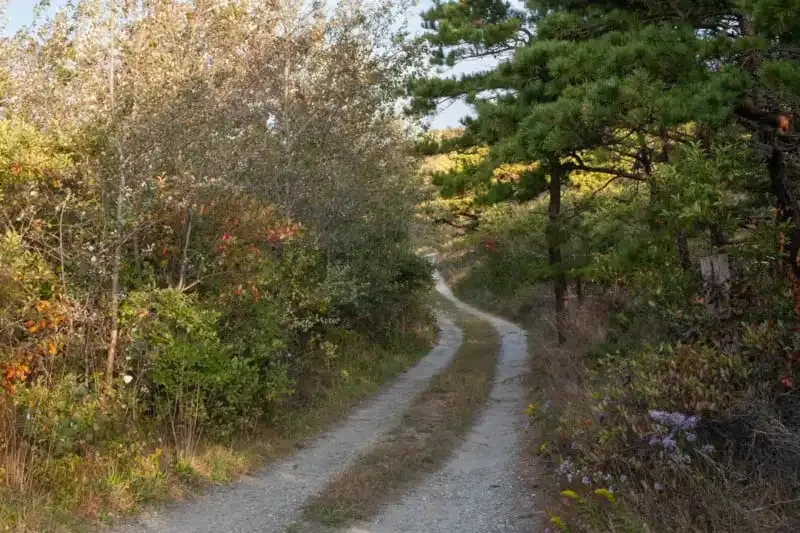 Líneas guías en la fotografía: una guía completa.