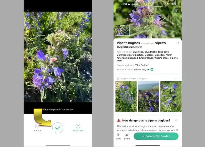 PictureThis: La mejor aplicación de cámara para identificar plantas.