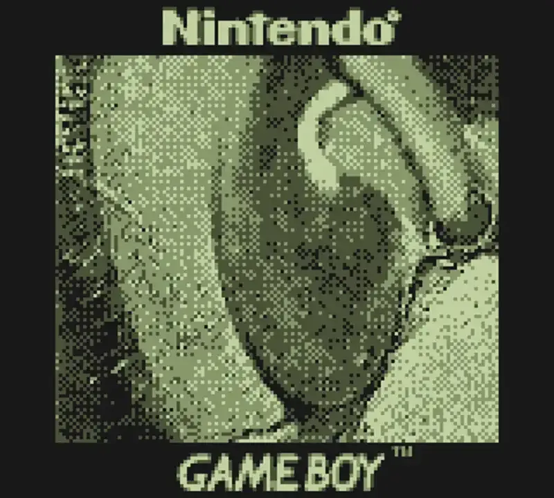 Cómo hackear una Game Boy Camera para usar lentes de cámara "reales"