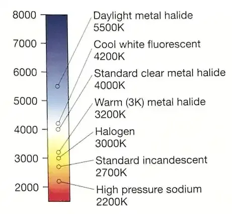 "Light Painting: Una Guía Completa"