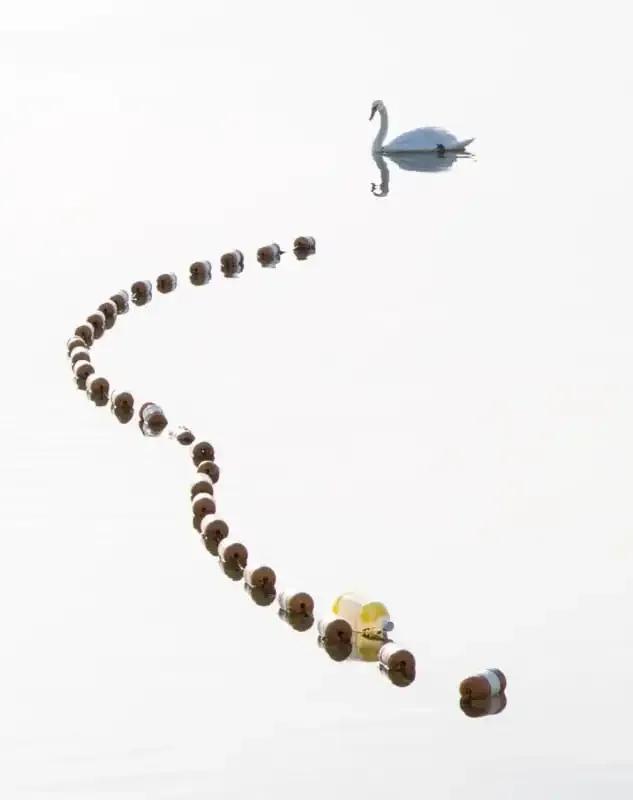 Líneas guías en la fotografía: una guía completa.