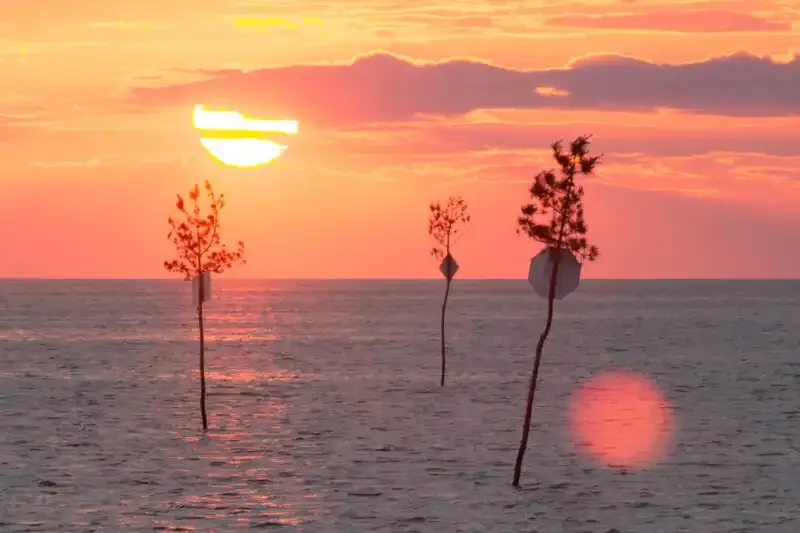 Halo de luz en la fotografía: Una guía completa.
