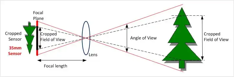 ¿Qué es el factor cosecha? Esto es lo que debe saber