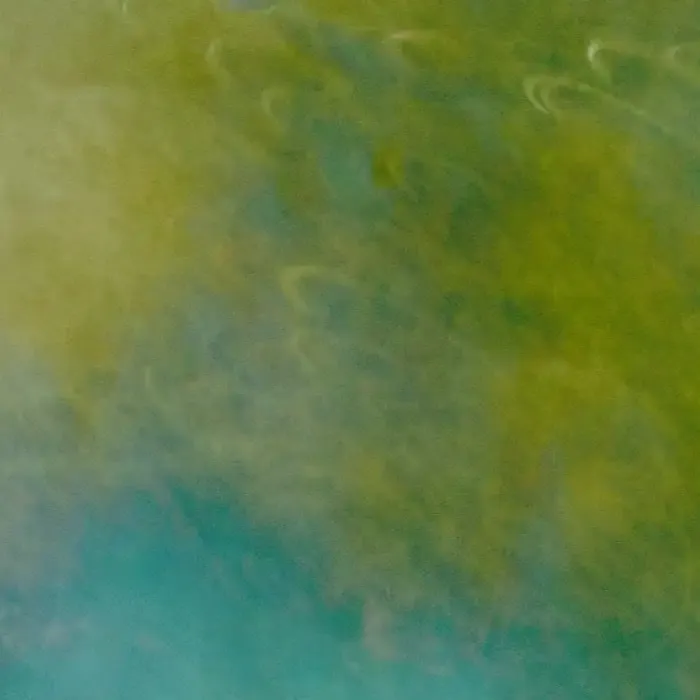 Movimiento intencional de la cámara: Una introducción a la fotografía ICM