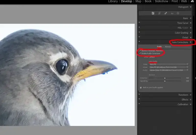 ¿Qué es la aberración cromática? ¿Cómo lidiar con el desenfoque de color?