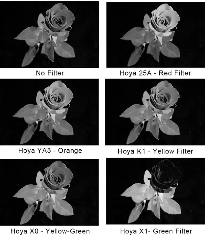 Filtros de color para fotografía en blanco y negro: Una guía completa