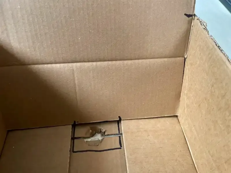 Cómo hacer un Softbox DIY de forma gratuita