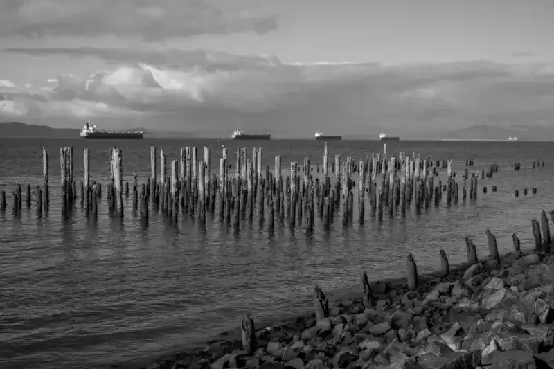 Fotografía en Blanco y Negro: La Guía del Principiante.