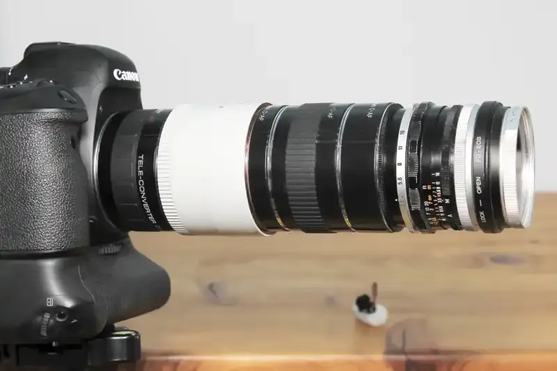 Cómo utilizar los teleconvertidores para la fotografía macro.