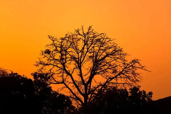 Espacio negativo: cómo agregar algo sin nada