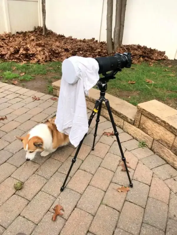 Astrofotografía: La guía definitiva.