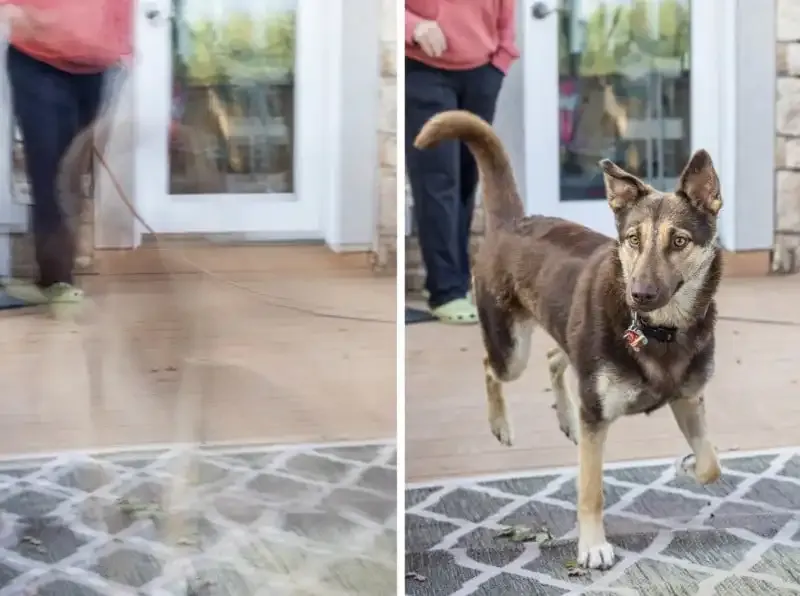 Velocidad de obturación en fotografía: Una guía completa