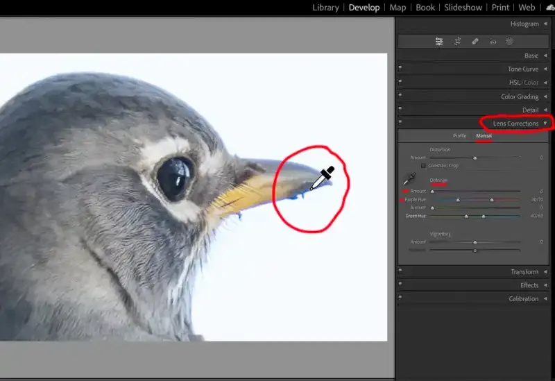 ¿Qué es la aberración cromática? ¿Cómo lidiar con el desenfoque de color?